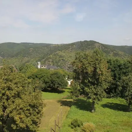 Ferienhaus-bacharach * バッハラッハ